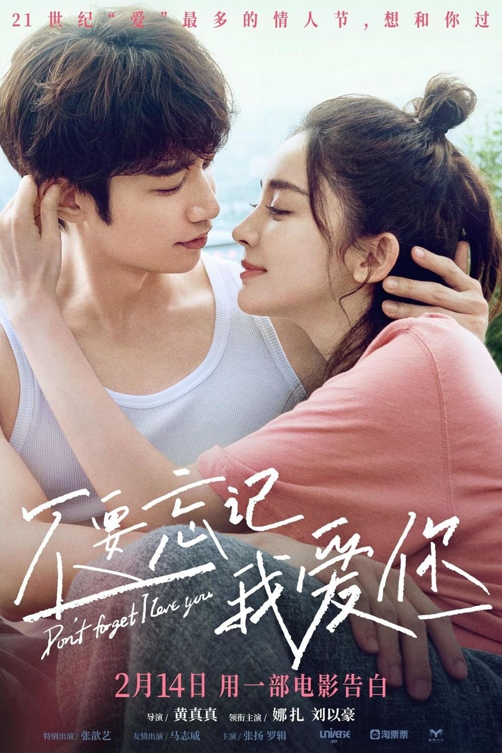 Đừng Quên Anh Yêu Em - Don't Forget I Love You
