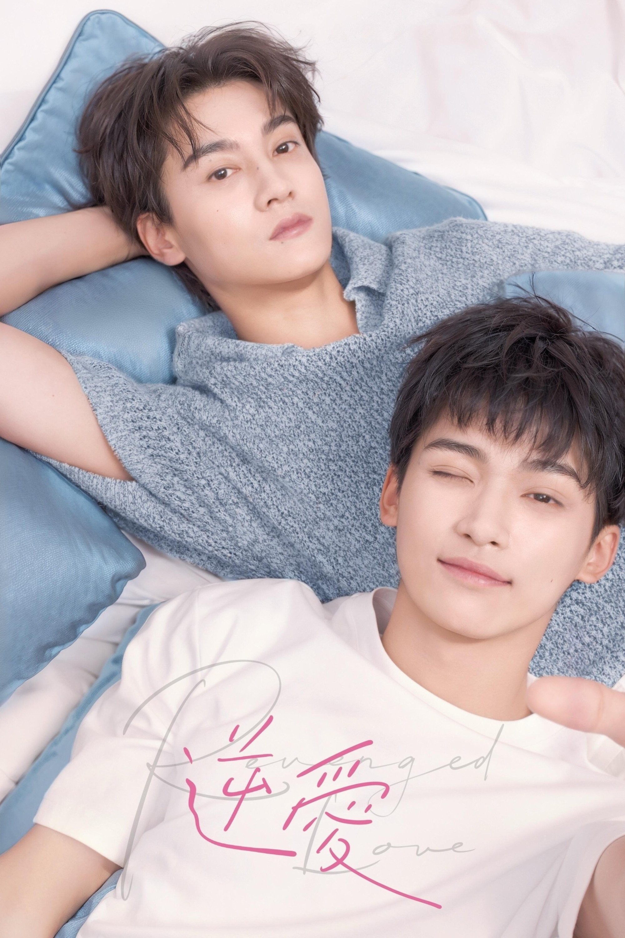 Nghịch Tập - Revenged Love